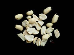Арахис очищеный, бланшированный, обжареный