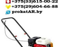 Аренда и прокат виброплиты в Борисове, Жодино, Крупках