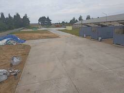 Аренда открытой площадки в Борисове