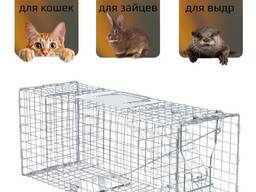 Аренда прокат котоловка, кошколовка, клетка-ловушка напрокат