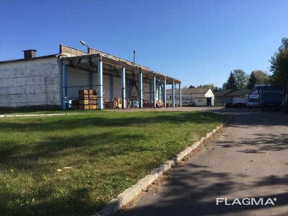 Купить Бизнес В Беларуси