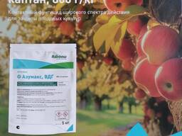 Азумакс, ВДГ