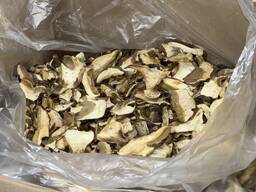 Белый сушеный гриб(dried boletus)
