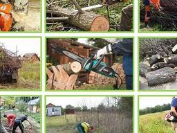 Благоустройство территории Дзержинс район