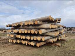 Бревно массива для опор и декоративного оформления