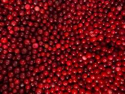 Брусника быстрозамороженная