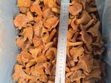 Быстрозамороженная лисичка - фото 1