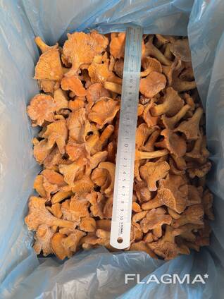 Быстрозамороженная лисичка