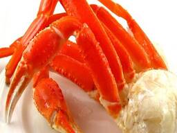 Cheap Blue Swimming Crab/ Live Whole King Crab/ King Crab Legs/ Mud Crab for sale