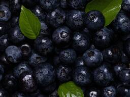 Черника свежая