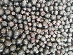 Черноплодная рябина