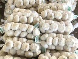 Чеснок из Китая. Прямые поставки