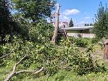 Чистка участков спил деревьев - фото 3