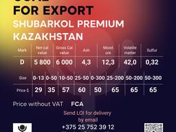 Coal for export D 5800-6000 Shubarkol Premium FCA