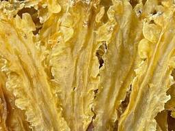 Cod Fish Maw