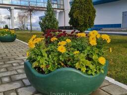 Цветочница  Чаша В  800х330мм