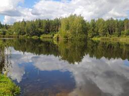 Дача возле Леса. Тихо и Красиво.