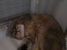 Деньги в долг