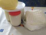 Домашнее молоко и молочная продукция - фото 1
