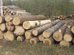 Древесина (техсырье)