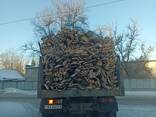 Дрова - фото 1