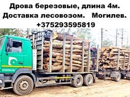 Дрова, березовые, дубовые.