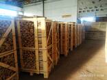 Дрова камерной сушки, Chamber drying firewood - фото 3