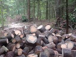 Дрова колотые колодки