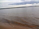 Два дома в лесу, на берегу Вилейского водохранилища. - фото 3