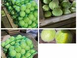 Экспорт сельскохозяйственной продукции из Республики Беларусь - фото 7