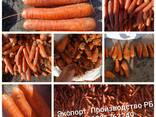 Экспорт сельскохозяйственной продукции из Республики Беларусь - фото 8