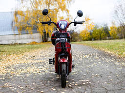 Электровелосипед AVM Delta красный