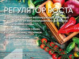 Эпин. Регулятор роста.