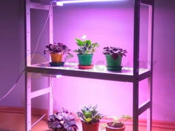 Светодиодный фитосветильник для рассады