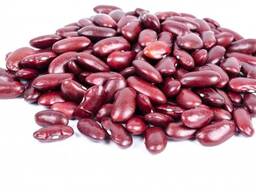 Фасоль красная