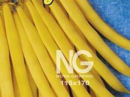 Фасоль Золотая Сакса спаржевая карликовая 50г. "Lobelia II" (семена)