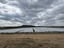 Фермерское хозяйство