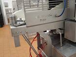 Филетировочная машина для семги и форели CARNITECH CT2630 - фото 3