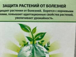 Фунгициды