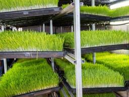 Гидропонная установка