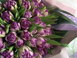 8 марта тюльпаны