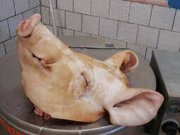 Головы свиные