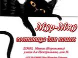 Гостиница для кошек Мур-Мяу, Минск