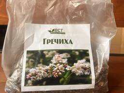 Гречиха