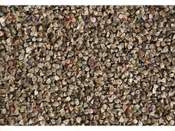 Гречиха продовольственная