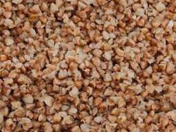 Гречка фуражная