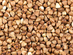 Гречка крупный опт