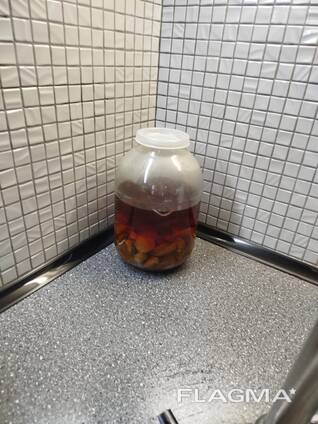 Настойка гриба весёлка