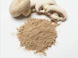 Грибы шампиньоны молотые/дроблёные - фото 1