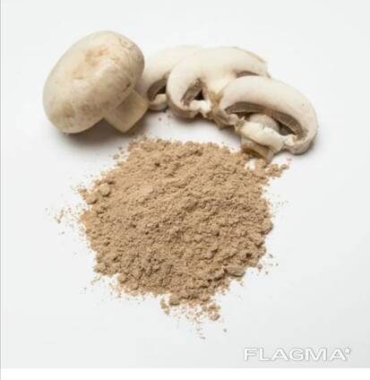 Грибы шампиньоны молотые/дроблёные